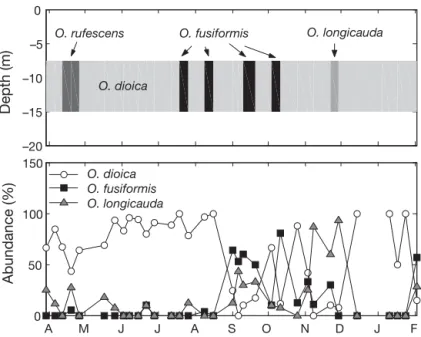 Fig. 5. Oikopleura spp. Seasonal succession of appendicularians in the English Channel (upper panel) predicted by our model based on  sea-sonal variations of temperature and food concentration, and observed dominant species at 0–50 m during 1999–2000 (Lópe