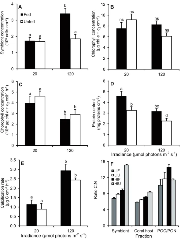 Figure 1. Effect of irradiance and heterotrophy on the main physiological parameters of C