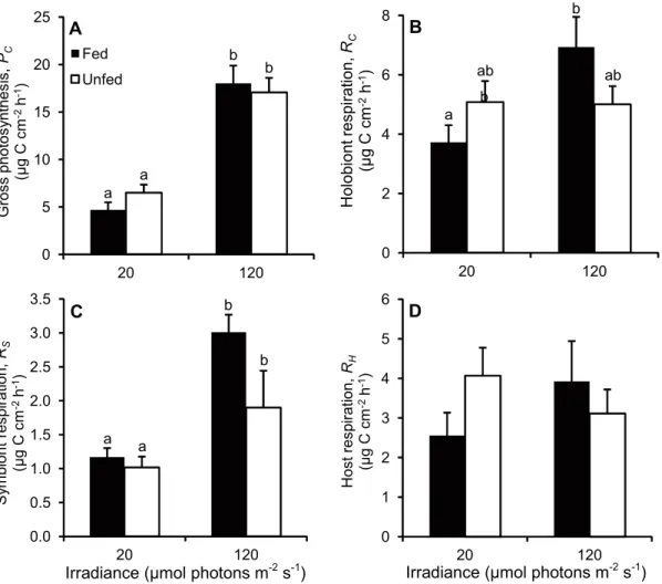 Figure 2. Effect of irradiance and heterotrophy on the rates of photosynthesis and respiration of C