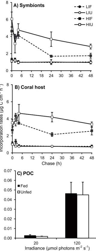 Figure 3. Effect of irradiance and heterotrophy on the carbon incorporation rates of C