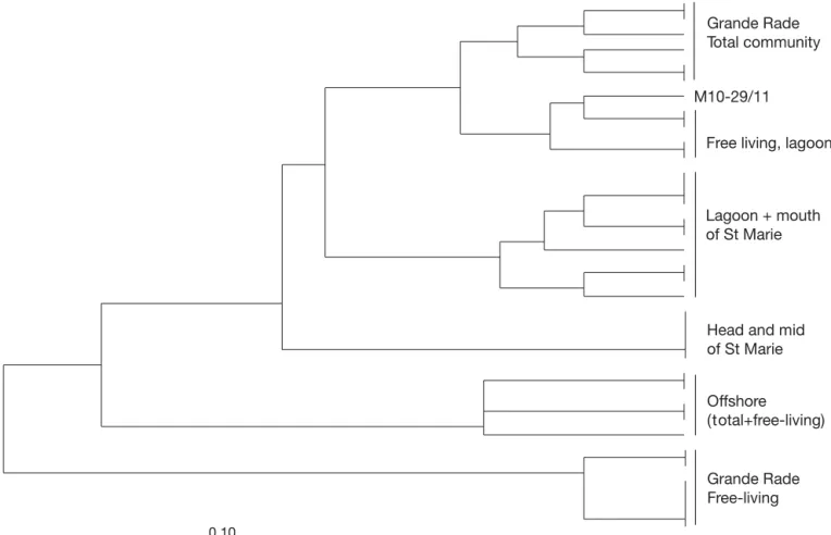 Fig. 3. Cluster analysis of denaturing gradient gel electrophoresis (DGGE) band patterns by the unweighted pair-group method.