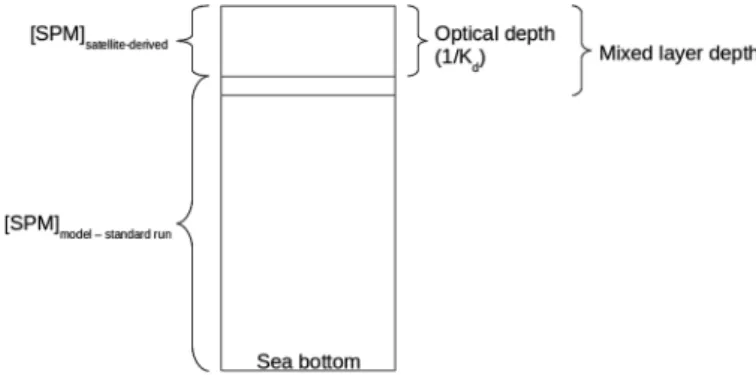 Figure 4. Schematic diagram depicting the initialization of the MARS-3D model using satellite-derived SPM data (see text for details).