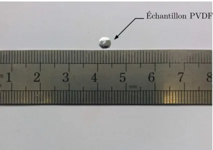 Figure 3.6 – Échantillon en PVDF de 9 µm d’épaisseur et de 5 mm de diamètre.