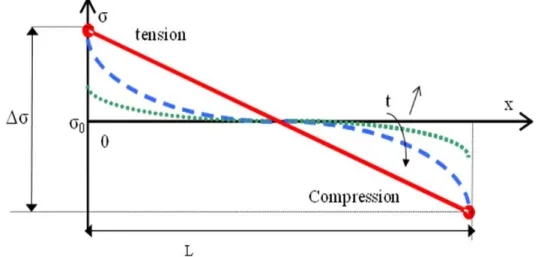 Figure 1-13 : Évolution du gradient de contrainte mécanique en fonction du temps  
