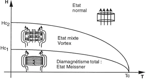 Figure II.6 : Supraconducteurs de type II. Pénétration du champ magnétique et vortex de l’état mixte