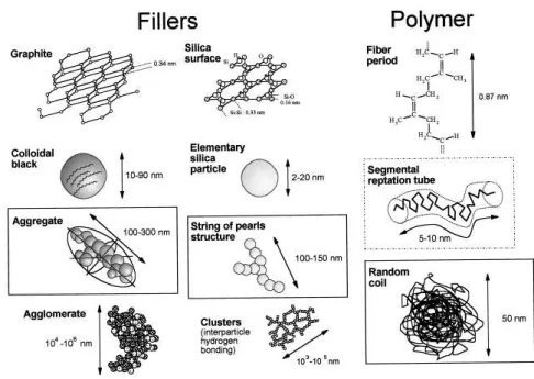 Figure 1.7.: Schematic and scale of the different structures observed within rubbers [10].