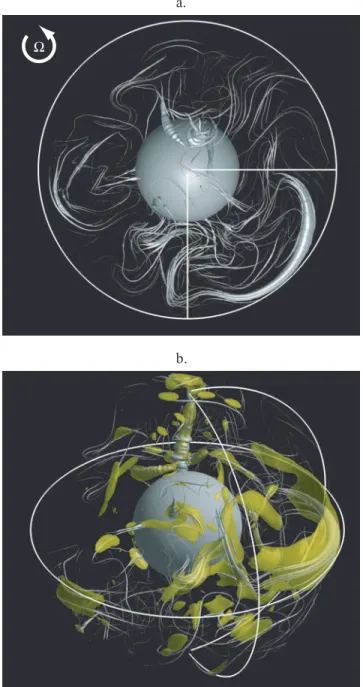 Figure 4. Top (a) and side (b) views of DMFI field lines in model C at magnetic diffusion time 4.36078, with same conventions as in Fig