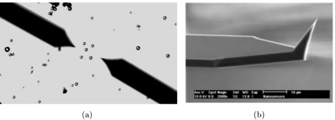 Figure 1.13  (a) Enombrement visuel d'une sène de manipulation ave 2 doigts AFM