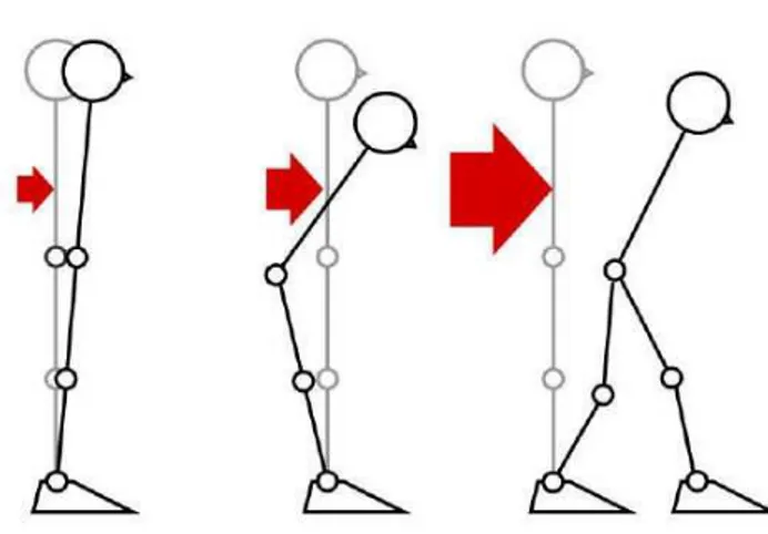 Figure 2.2: Différentes stratégies pour retrouver son équilibre : Cheville (à gauche), hanche (au milieu) et changement d’appui (à droite) (K ANAMIYA et al., 2010)