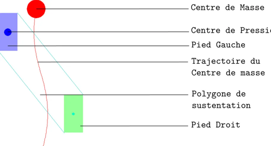 Figure 3.6: On voit dans cette Figure les différents éléments de l’af ﬁ chage graphique de la simulation