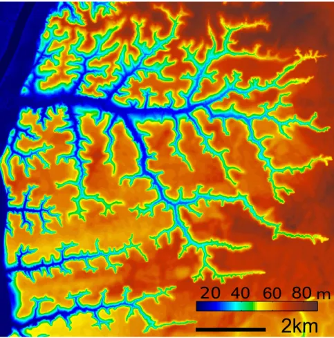 Fig. 1. High-resolution topographic map of valley networks incised by groundwater ﬂ ow, located near Bristol, Florida, on the Florida Panhandle