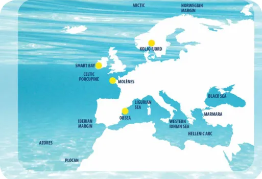 Figure 1. Map of current EMSO nodes. Yellow dots indicate testbeds.