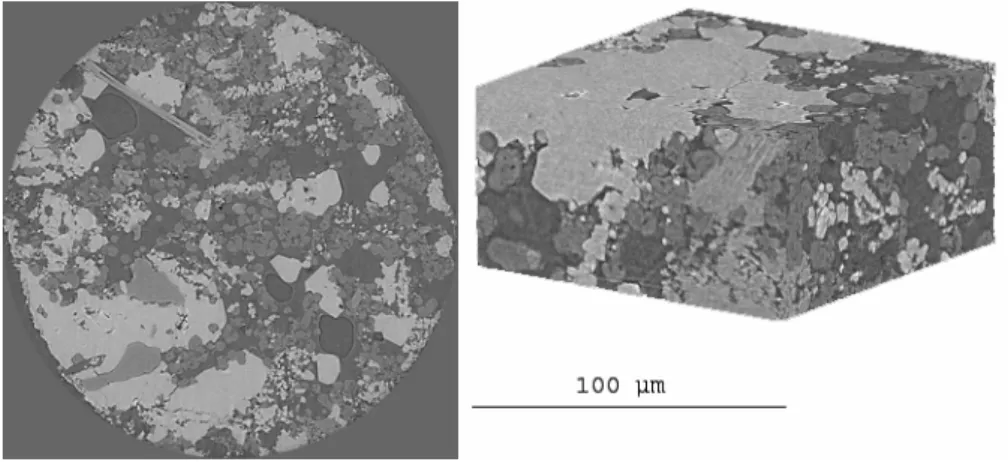 Figure 1 2D slice (sample diameter: 560 µm) and 3D reconstruction of quarry tuffeau  (limestone originating from the Loire valley, France) grey levels allow to distinguish the  different components: grey light: calcite, dark grey: silica, black: porosity