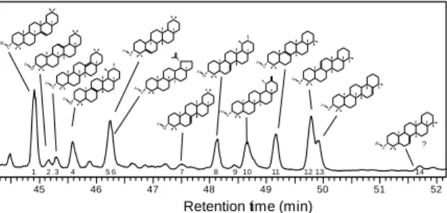 Figure  1:  GC-MS  Total  Ion  Chromatogram  (TIC)  showing  the  distribution  of  triterpenyl  acetates  (with  the  corresponding  structures)  in the ketone/ester fraction from  the  lipid  extract  of  a  grassland soil from  the  Lake Aydat catchment