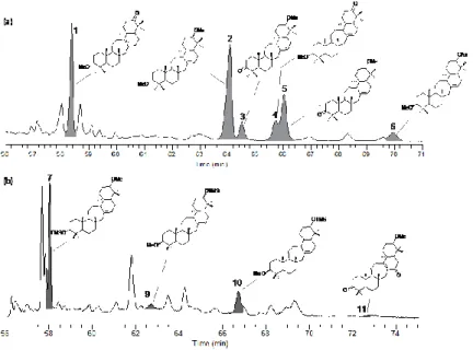 Figure 1: GC-MS Total Ion Chromatogram (TIC) of (a) the ketone fraction and (b) the alcohol fraction  from the lipid extract of a soil developed under a conifer forest : 1: 3-methoxyserrat-13-en-21-one; 2: 