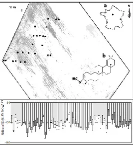 Figure  1:  (a)  Location  of  P.  miliaceum  field,  heterogeneity  of  soil  properties  on  aerial  picture  (grey  scale)  and  location of samples; (b) Structure of miliacin (c) Distribution of miliacin D values per plant