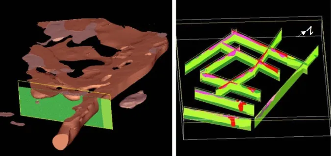 Fig. 1 - On the left the 3D model in red the granites and in pink the leucogranites. The SHF is the  East limit of the granites