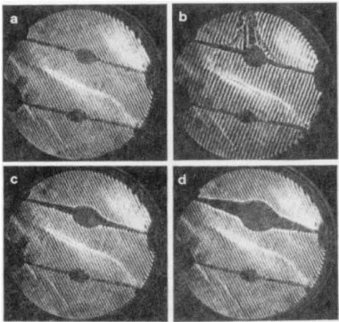 Figure  5.    Evolution  d’une  couche  limite  thermique  autour  d’une  thermistance  chauffante  (CO 2   à 