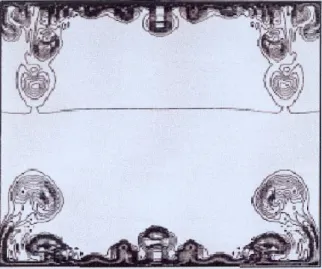 Figure 6 : Champ de température à t=8.8 s avec une différence de température entre les deux parois de 