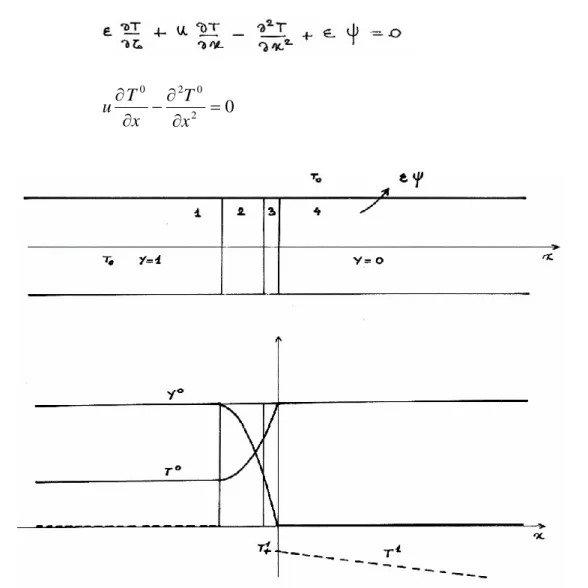 Fig. 11 - Profils de concentration et de température, à l’ordre zéro du développement asymptotique,  de la zone de diffusion 2