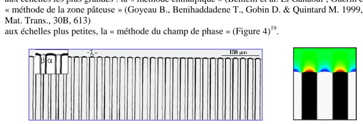 Figure 4 : Simulation 2D par champ de phase. A gauche : expérience de croissance eutectique (S