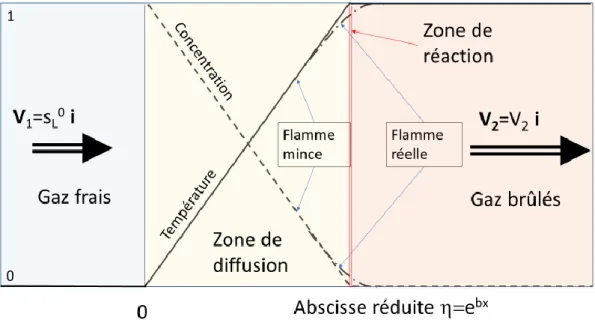 Figure 9. Evolution de la température et de la concentration réduites dans une onde de déflagration  en fonction de la variable d'espace 