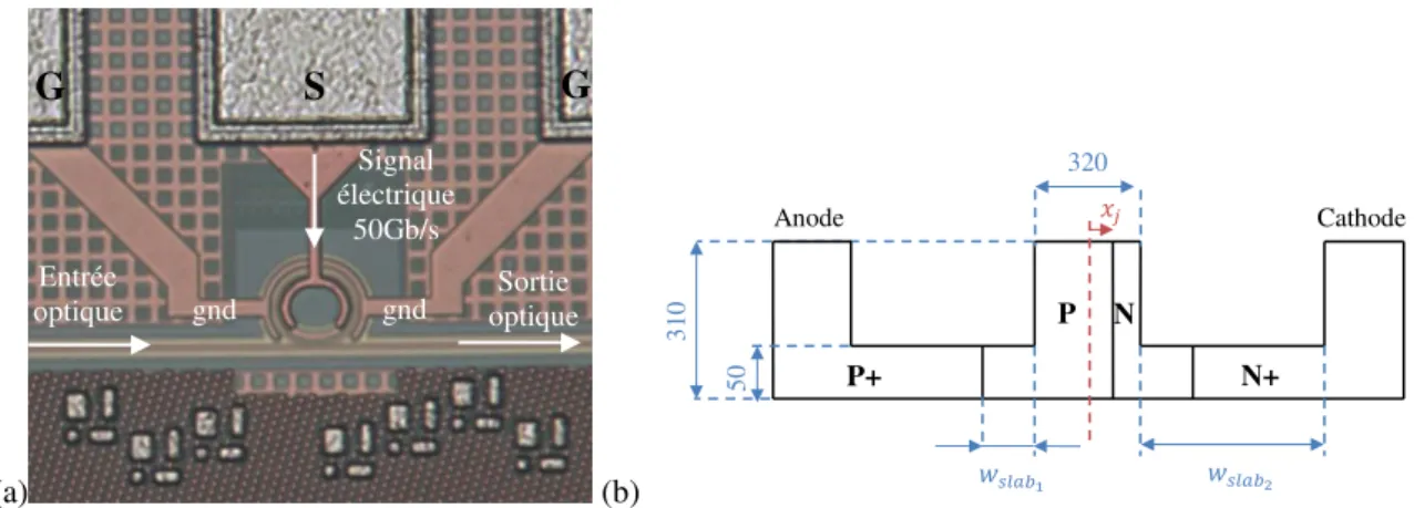 Figure 3.3. (a) Microphotographie d'un anneau résonant. (b) Vue en coupe schématique de la jonction PN intégrée dans l’anneau