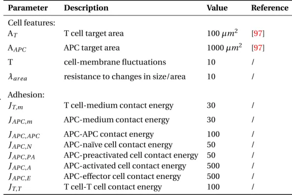 Table 2.3 – Default parameter settings for simulations: cellular level (Potts model)
