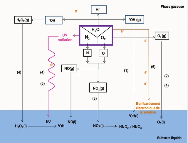 Figure II-41 : Mécanismes de conversions des polluants en phase plasma gaz –liquide 