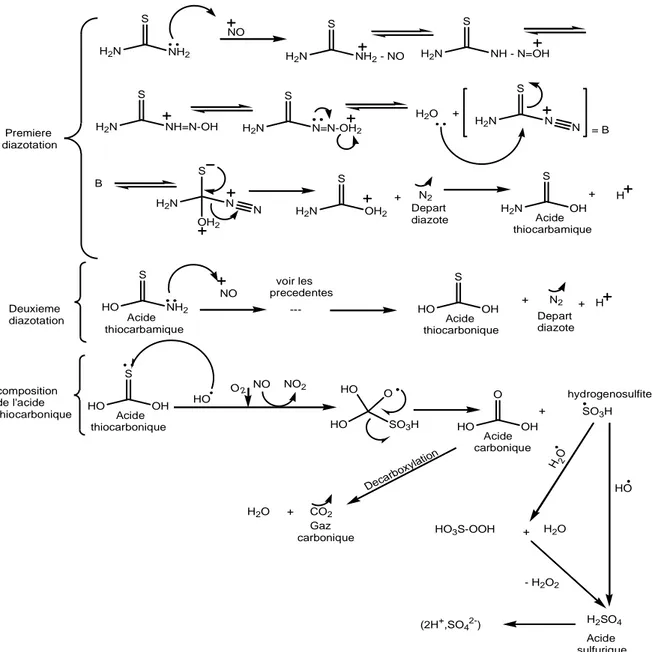 Figure II-43 : Mécanisme de dégradation de la Thiourée par l’ion NO +  en phase plasma [70]