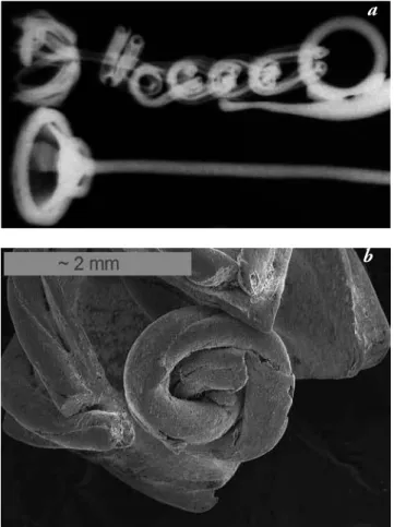 Figure 6: Earring 271: (a) the X-radiography shows that the wires  are hollow; (b) and (c) the diferent wires used in the decoration  under the SEM.