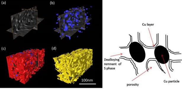 Figure 11 : Morphologie de particules de phase S résiduelles. A gauche, image 3D reconstituée à partir d’analyse STEM  -(a)  image orthoslice, (b) nanoparticules de cuivre, (c) nanoparticules de cuivre entourées du résidu de phase S et (d) porosité- A  dro