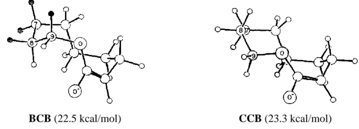 Figure 9. Conformations BCB et CCB pour l’énolate de la lactone 200 99