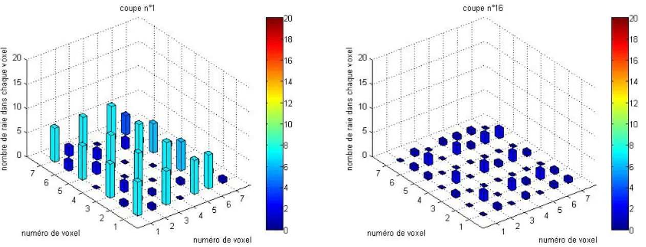 Figure 3.24: Répartition des rais à l’intérieur des voxels pour deux coupes d’altitudes