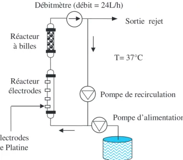 Fig. 1. Schéma du réacteur de laboratoire alimenté en continu en eau naturelle et composé d’un réacteur tubulaire équipé  d’élec-trodes de mesure et d’un réacteur à billes.