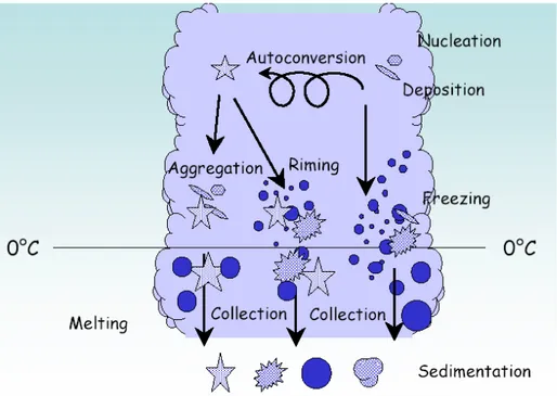 Figure 10: Résumé des interactions entre les différents types d'hydrométéores dans un nuage  mixte