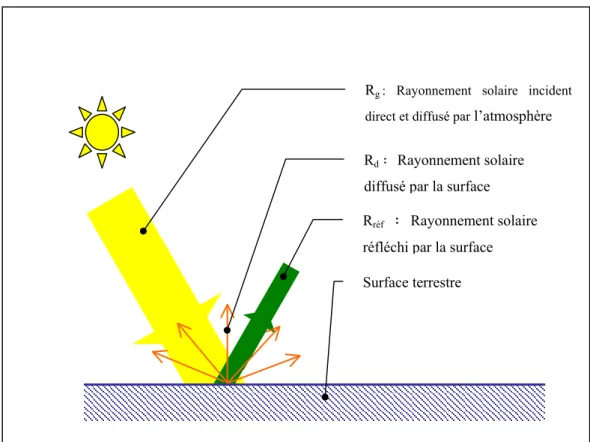 Figure 2. Bilan du flux solaire au niveau de la surface du sol. 