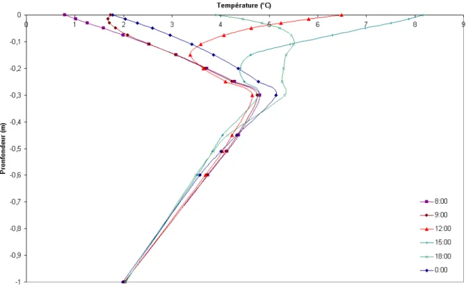 Figure 11. Profil de température dans le corps de la chaussée à différentes heures de la journée