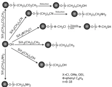 Figure I.16 :  Représentation de  la  diversité des  fonctions  chimiques  accessibles à l’aide des  agents de couplage silaniques organofonctionnels. Extrait de la réf