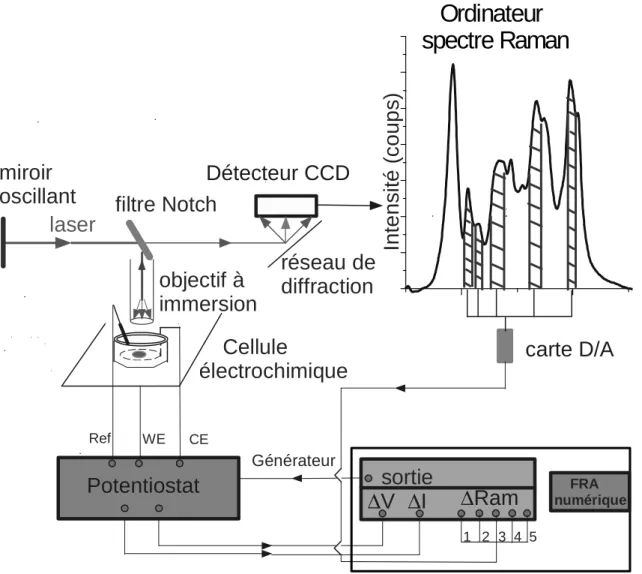 Figure 12 : Dispositif expérimental de mesure de fonction de transfert Raman/impédance  