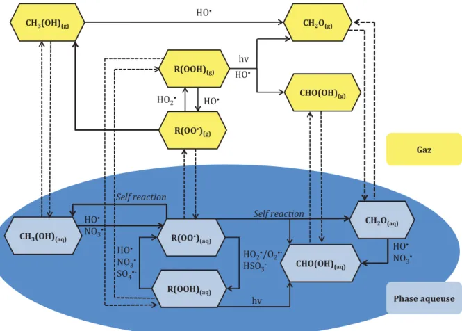 Figure  13:  Réactions  chimiques  (traits  pleins)  impliquant  les  hydroperoxydes  considérés  dans  M2C2,  R  =  CH 3   ou  CH 3 (OH),  les  traits  en  pointillés  correspondent  aux  transferts  de  masse  entre  phases gazeuse et aqueuse