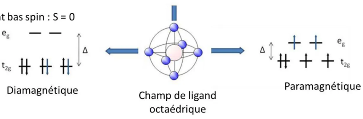 Figure I.1 : représentation des niveaux d‘énergie électroniques et leur occupation d‘un ion de  configuration [Ar]3d 6  en possédant un champ de ligand de géométrie octaédrique à l‘état bas  spin (à gauche) et haut spin (à droite)  