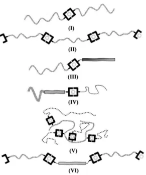 Figure  I.12 :  Représentation  schématique  de  polymères  métallo-supramoléculaires  possibles avec (I) des homopolymères [●]-A, (II) des polymères allongés d‘une chaîne  A-[●]-) n , (III) des copolymères à blocs A-[●]-B, (IV) des copolymères à triblocs 