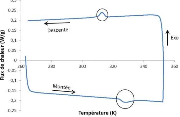 Figure III.15 : profil du deuxième cycle de DSC effectué à 5K/minute d‘un échantillon  G 120  âgé de 10 jours 