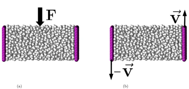 Figure 2.1  Représentation schématique d’une simulation d’un écoulement de Poiseuille en (a) et d’une simulation de cisaillement en (b).