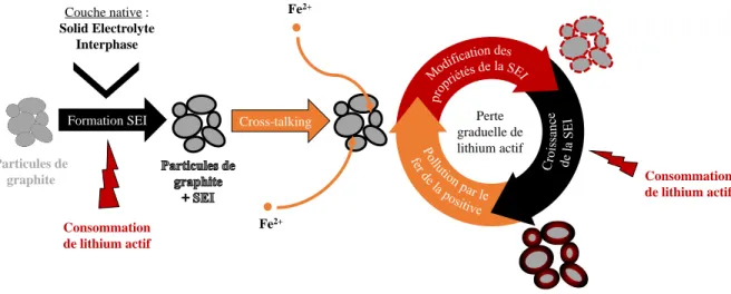 Figure 1.22 – Schéma du processus de cross-talking sur la SEI des particules de graphite
