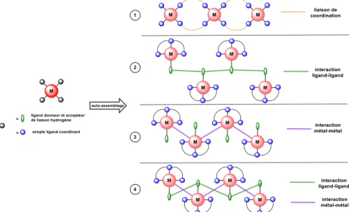 Figure I-14 : Types de polymères supramoléculaires à base de complexe métallique classés suivant la nature des  interactions mises en jeu