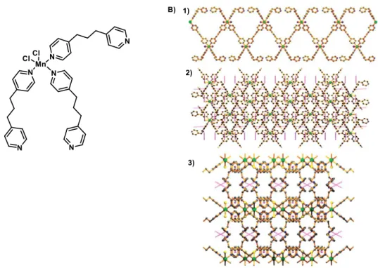 Figure I-22 : Structure moléculaire A) de [Mn(bpp) 3 Cl 2 ] et cristalline B) des polymères de coordination formés