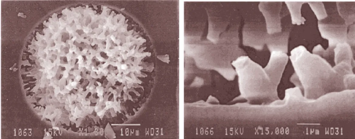 Figure 9 : Images MEB d’un monolithe de silice préparé par la méthode de sol-gel à deux  grossissements [60]