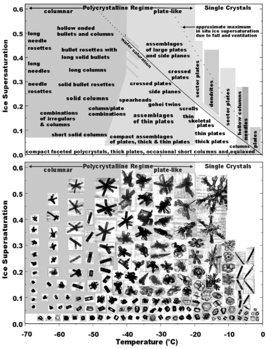 Figure II. 5 : Diagramme représentant les types de cristaux en fonction de la température et de la  sursaturation par  rapport à la glace